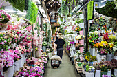 Blumenladen, am Chatuchak, Wochenendmarkt, Bangkok, Thailand