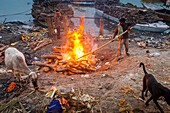 Einäscherung eines Leichnams in Manikarnika Ghat, dem brennenden Ghat, am Ufer des Ganges, Varanasi, Uttar Pradesh, Indien.