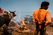 Einäscherung eines Leichnams, in Manikarnika Ghat, dem brennenden Ghat, am Ufer des Ganges, Varanasi, Uttar Pradesh, Indien.