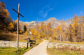 Autumnal view of the foliage and colours at the entrance of Alpe Veglia. Val Cairasca valley, Divedro valley, Ossola valley, Varzo, Piedmont, Italy.