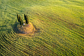 Aerial view of a group of cypresses and a little cross in a field near San Quirico d'Orcia. Val d'Orcia, Tuscany, Italy.
