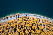 Luftaufnahme des Silser Sees und seiner Uferstrasse im Herbst. Sils im Engadin/Segl, Engadin, Schweiz, Kanton Graubünden.