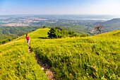 Blick auf den Pfad, der zum Monte Chiusarella führt, varesinische Voralpen, Parco Regionale del Campo dei Fiori, Bezirk Varese, Lombardei, Italien.