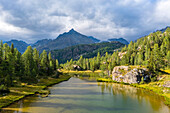 Aerial view of Mufule Lake and Sasso Moro surrounded by larches in the summer. Valmalenco, Valtellina, Sondrio, Lombardy, Italy, Europe.