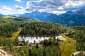 Luftaufnahme des Mufule-Sees und des Monte Disgrazia, umgeben von Lärchen im Sommer. Valmalenco, Valtellina, Sondrio, Lombardei, Italien, Europa.