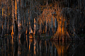 Atchafalaya-Becken im Herbst bei Sonnenuntergang, Louisiana
