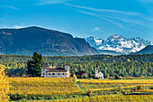 Eppan / Appiano, province of Bolzano, South Tyrol, Italy. The Kreithof winery with the Latemar mountains in the background
