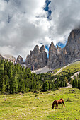 Tiers / Tires, Tires Valley, province of Bolzano, Dolomites, South Tyrol, Italy. The Vaiolet Towers