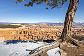USA, Utah, Bryce Canyon National Park: Panorama vom oberen Rand des Canyons