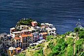 Blick auf Manarola von oben im Cinque Terre Park, Manarola, La Spezia, Cinque Terre, Italien, Europa, Südeuropa