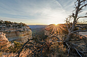 USA, Arizona, Grand Canyon National Park: sunrise over the South Rim