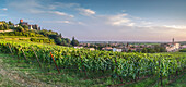 vineyards in Soave, with Scaliger castle, the soave town and Paganella Sanctuary in background during the late afternoon Soave, Verona, Veneto, Italy, Europe, south Europe