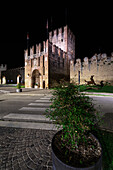 Grünpflanze mit Verona Tür im Hintergrund in der Nacht. Soave, Verona, Venetien, Italien, Europa, Südeuropa