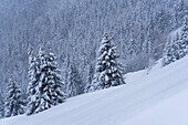 Winter season in Brescia prealpi, Brescia province, Lombardy district, Italy, Europe.