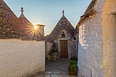 Trulli (typische Häuser) in Alberobello, Itria-Tal, Bezirk Bari, Apulien, Italien