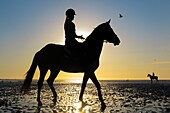 Training of racehorses on the beach of cabourg, cote fleurie, calvados, normandy, france