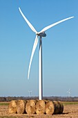 Windkraftanlagen auf dem Lande im Departement Eure, Energieautonomie, Normandie, Frankreich