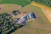 Bauernhof mit Viehzucht und Ackerbau, Risle-Tal, Neaufles-Auvergny, Eure, Normandie, Frankreich