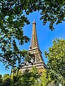The eiffel tower in the midst of the parisian vegetation, paris, france