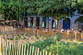 Terrasse des Cafés latitude, place de canourgue, montpellier, herault, occitanie, frankreich
