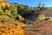 Fairy chimney, ochre quarries of the colorado provencal, regional nature park of the luberon, vaucluse, provence, france