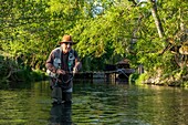 Fly-fishing, hameau du rouge moulin hamlet, valley of the risle, eure, normandy, france