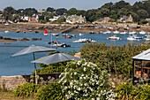 Privater Garten mit Blick auf den Hafen von ploumanac'h, perros-guirec, cote de granit rose (rosa Granitküste), cotes-d'amor, bretagne, frankreich