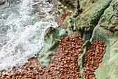Die grünen und roten Felsen am Meer entlang des Küstenpfads von Cape Dramont, Saint-Raphaël, Var, Frankreich