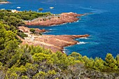 The red rocks seen from the coast path of cape dramont, saint-raphael, var, france