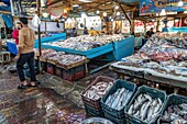 Die Stände mit den bunten Fischen auf dem Fischmarkt am Yachthafen, Hurghada, Ägypten, Afrika