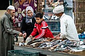 Kunden mit der Familie am Stand des Fischhändlers auf der Straße, el dahar market, beliebtes Viertel in der Altstadt, hurghada, ägypten, afrika