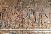 Bas-relief and frescoes in bright colors, the god horus with a falcon head, precinct of amun-re, temple of karnak, ancient egyptian site from the 13th dynasty, unesco world heritage site, luxor, egypt, africa