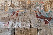 The ibis-headed god thoth with the falcon-headed god horus purifying the queen and future pharaoh hatshepsut later erased, egyptian hieroglyphs, figurative holy writings, precinct of amun-re, temple of karnak, ancient egyptian site from the 13th dynasty, unesco world heritage site, luxor, egypt, africa