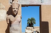Statue of hamun-ra, precinct of amun-re, god of thebes, main deity in the egyptian pantheon, temple of karnak, ancient egyptian site from the 13th dynasty, unesco world heritage site, luxor, egypt, africa