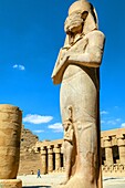 Colossus of ramses ii, precinct of amun-re, temple of karnak, ancient egyptian site from the 13th dynasty, unesco world heritage site, luxor, egypt, africa