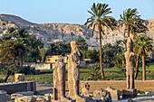 Statuen in den Ruinen des antiken Tempels von Theben mit seiner Nekropole, Tal der Könige, Luxor, Ägypten, Afrika