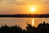 The nile, the river at sunset, luxor, egypt, africa
