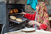 Arabische Frau beim Backen des traditionellen Baladi-Brotes, Saqqara-Nekropole aus dem Alten Reich, Region Memphis, ehemalige Hauptstadt des Alten Ägypten, Kairo, Ägypten, Afrika