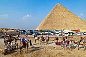 Tourbus und Kamellager für Touren am Fuße der Pyramiden, Kairo, Ägypten, Afrika