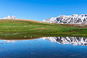 Reflection of the snowy peak of Gran Sasso and Gran sasso mountains range on the small lake and green meadow, Gran Sasso and Monti della Laga national park, L’Aquila province, Abruzzo, Italy