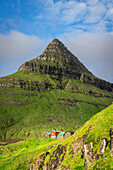 Colourful cottages in the green landscape, Fuglafjordur, Eysturoy island, Faroe islands, Denmark, Europe