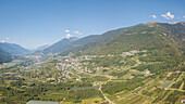 Luftaufnahme von Apfelplantagen zwischen ländlichen Dörfern und Bergen, Valtellina, Provinz Sondrio, Lombardei, Italien