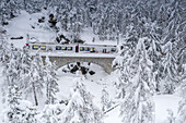Bernina Express train crossing the winter woods covered with snow, Morteratsch, Engadine, canton of Graubunden, Switzerland