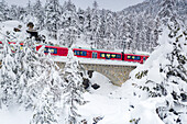 Bernina Express Zug bei der Durchfahrt durch den verschneiten Winterwald, Morteratsch, Kanton Graubünden, Engadin, Schweiz