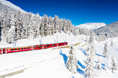 Wintersonne über dem Bernina Express Zug, der durch die verschneite Landschaft fährt, Chapella, Kanton Graubünden, Engadin, Schweiz