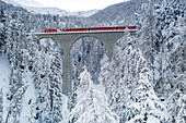 Bernina Express train on viaduct crossing the winter forest covered with snow, Zernez, Graubunden canton, Engadine, Switzerland