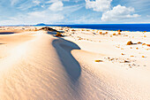 Sanddünen im Naturpark Corralejo, Fuerteventura, Kanarische Inseln, Spanien