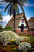 Old traditional house with thatched roof, Santana, Madeira island, Portugal