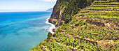 Terraced vineyards and Bridal Veil Fall cascade from Veu da Noiva viewpoint, Seixal, Madeira island, Portugal