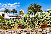 Santa Maria church framed by palm trees and prickly pears plants, Betancuria, Fuerteventura, Canary Islands, Spain